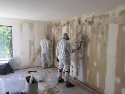 Best Attic Mold Removal  in Inglenook, CT